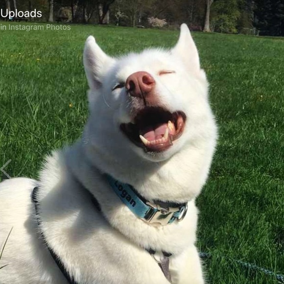 Meet your Posher, Eileen - Picture 1 of 1